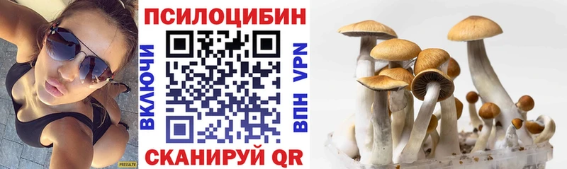 kraken ССЫЛКА дарнет шоп Пугачёв Псилоцибиновые грибы MAGIC MUSHROOMS